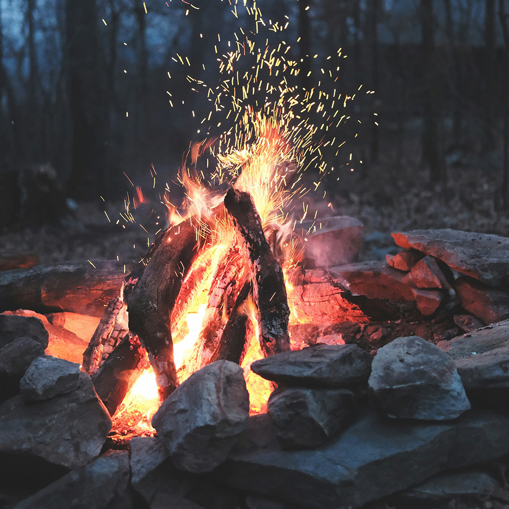 wren-meinberg-xqV9QdGOSas-unsplash